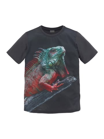 Kidsworld T-Shirt in anthrazit