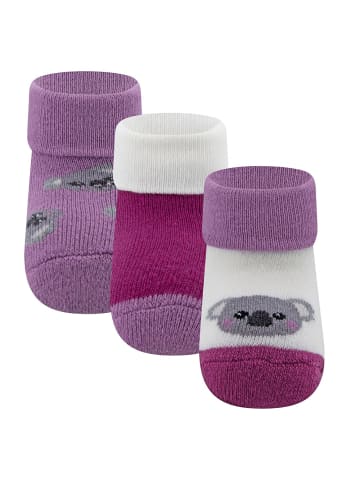 ewers 3er-Set Newborn Socken 3er Pack Koala in lavendel-latte-purplewein