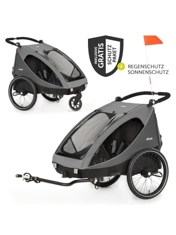 Hauck 2in1 Fahrradanhänger Dryk Duo für 2 Kinder in grau