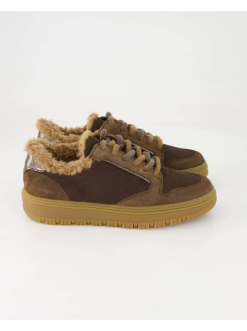 Paul Green Sneaker low in Braun