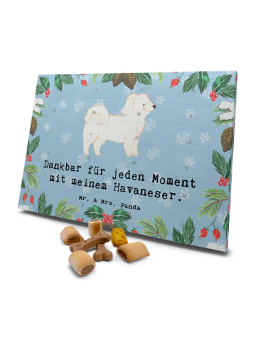 Mr. & Mrs. Panda Hunde Adventskalender Havaneser Moment mit Spruch in Eisblau