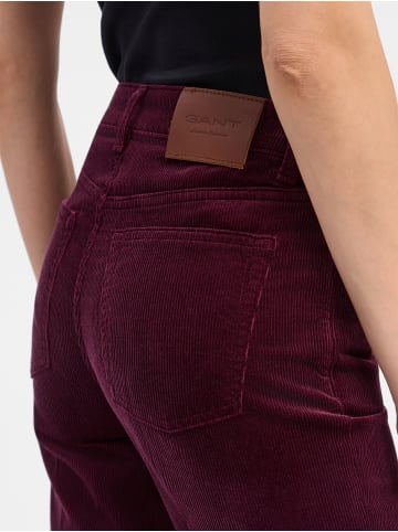 Gant Hose in aubergine - 0002