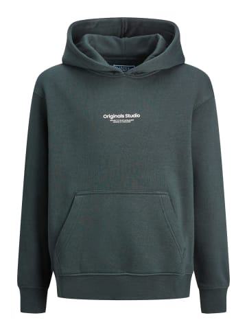 Jack & Jones Kapuzenpullover in Forest River