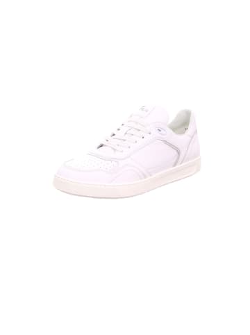 Sioux Sneaker für Herren in uni