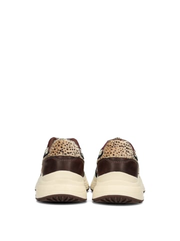 POSH by Poelman POSH by Poelman ANGY Damen Sneaker