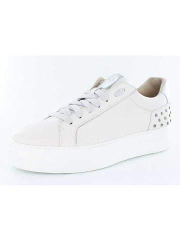 Donna Carolina Schnürschuh in weiß