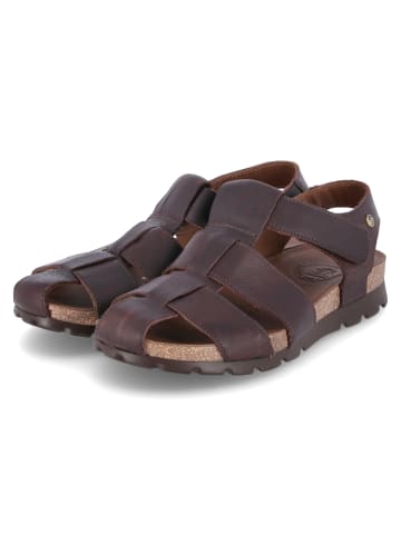 PANAMA JACK Sandalen in Braun