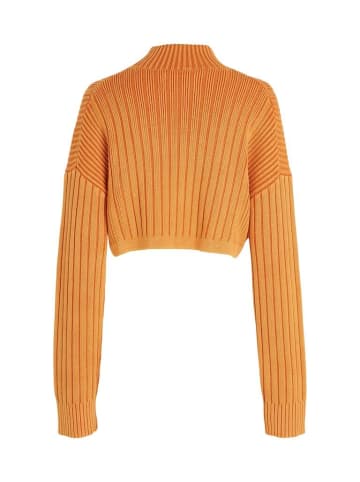 CALVIN KLEIN JEANS Sweatshirt in burnt clay