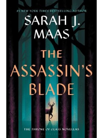 Bloomsbury Buch - The Assassin's Blade