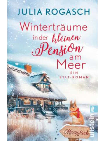 ullstein Buch - Winterträume in der kleinen Pension am Meer