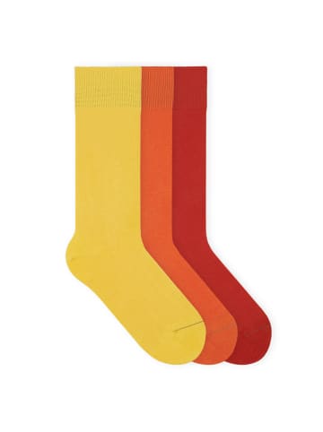 von Jungfeld Classic Socken-Set Signature Innenbund in Sunrise