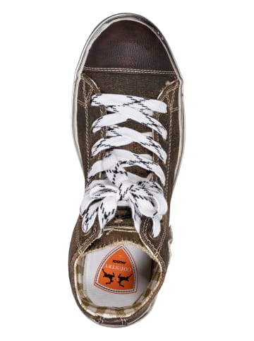 MADDOX Sneaker FANNY in dunkelbraun