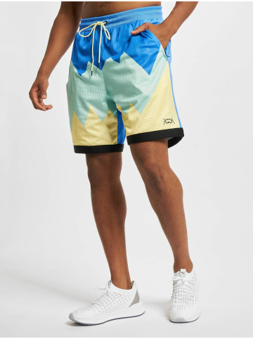 Puma Shorts in bluemazing