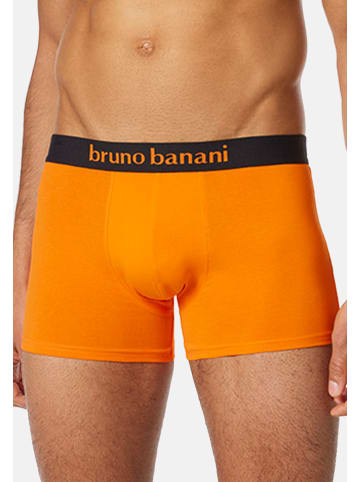 Bruno Banani Retro Short / Pant Flowing in Orange / Schwarz