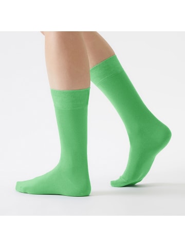 von Jungfeld Classic Socken Colour in Apfelgrün