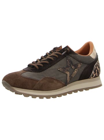 Cetti Sneaker Low in braun
