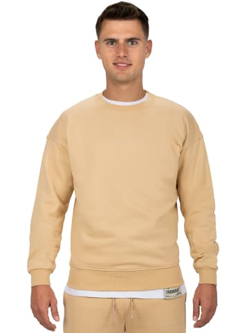 Reichstadt Pullover in Beige