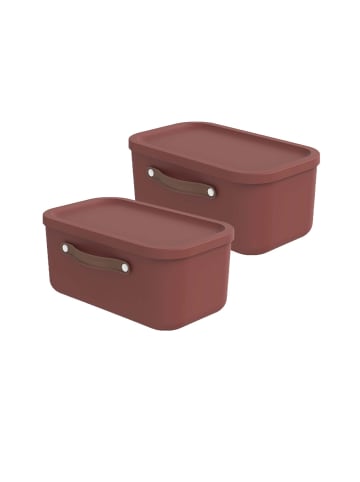 Rotho 2er-Set Kiste mit Deckel Maloja 12l in Iron rot