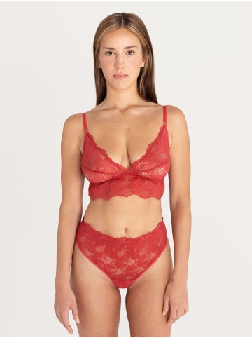 Erlich Textil  Erlich Textil Spitzen Triangel BH CLASSY LACE TRIANGEL-BH in granatapfel