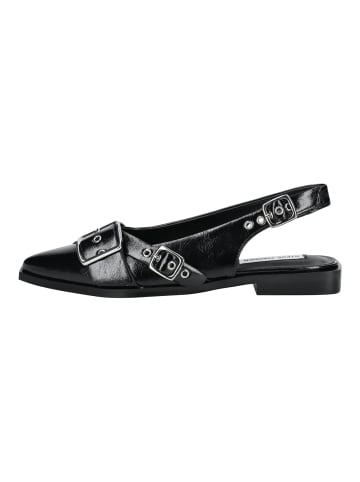 Steve Madden Ballerinas in Schwarz