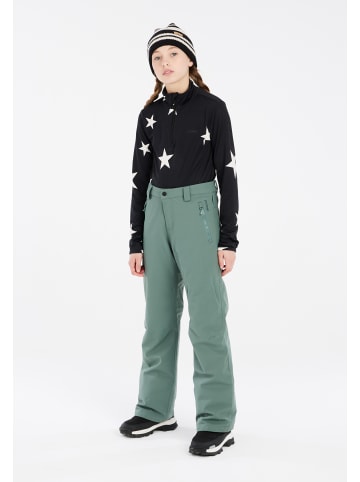 Protest " PRTSTERIO JR in Evergreen