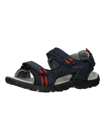 Geox Sandalen in Navy/Rot