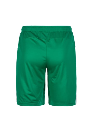 Puma Shorts Liga in grün / weiß