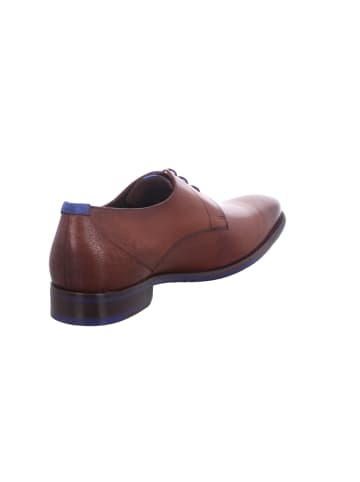 Floris van Bommel Schnürschuh in braun