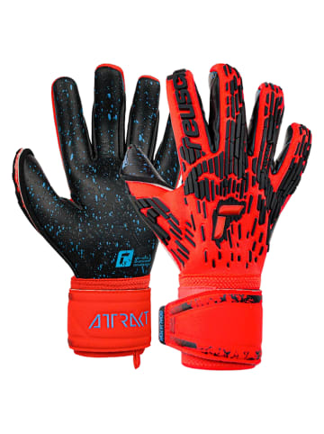 Reusch Torwarthandschuhe Attrakt Freegel Fusion Goaliator in 3333  red/blu/blck