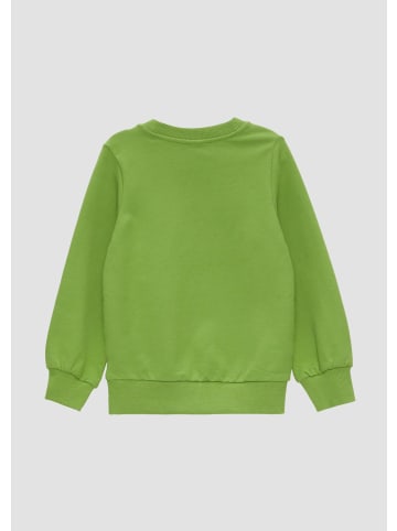 s.Oliver Sweatshirt in 7450_bambusgrün
