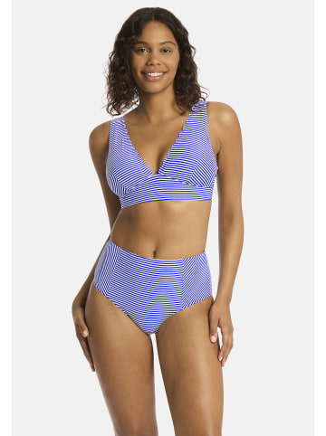 Sea Level Varsity Bikini Oberteil in COBALT