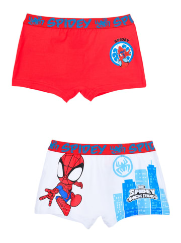 Spiderman 4er-Set: Boxershorts Spidey in Bunt