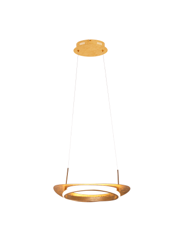 näve LED Pendelleuchte "PISA" in gold - (L)40 cm x (B)26 cm x (H)120 cm - EEK G