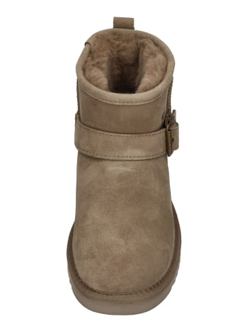 Warmbat Stiefeletten WALLABY BUCKLE in grau