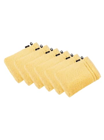 Vossen 6er Pack Waschhandschuh in citro
