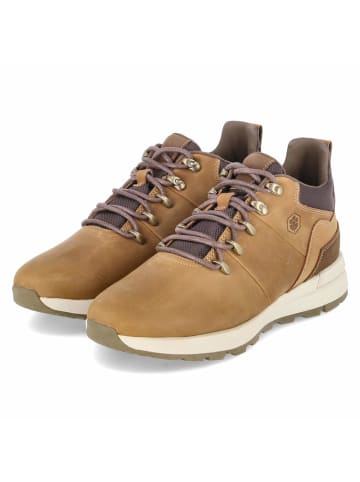 Halbschuhe DOMINIC in beige