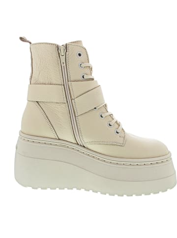 Steve Madden Pinaco Schnürstiefel Beige