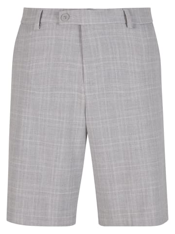 2Y Studios 2Y Studios 2Y Plaid Shorts With Double Stripe in lightgrey