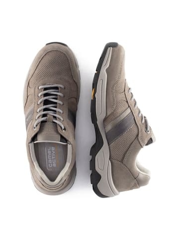 Camel Active Wanderschuhe für Herren in beige