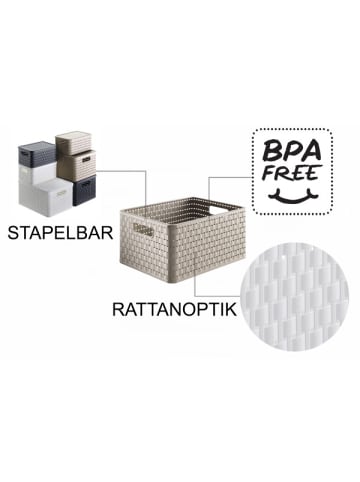 Rotho Country 3er-Set Aufbewahrungsbox 14l in Rattan-Optik in Cappuccino
