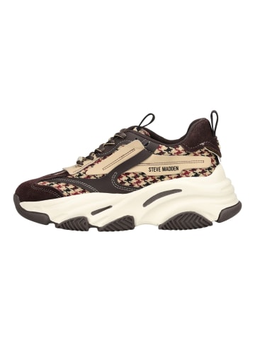 Steve Madden Sneaker in Braun/Beige