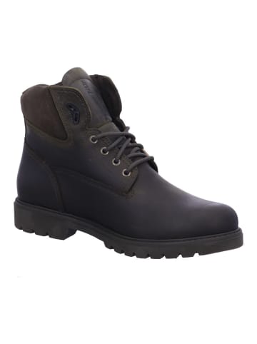 PANAMA JACK Schnürschuh in grün