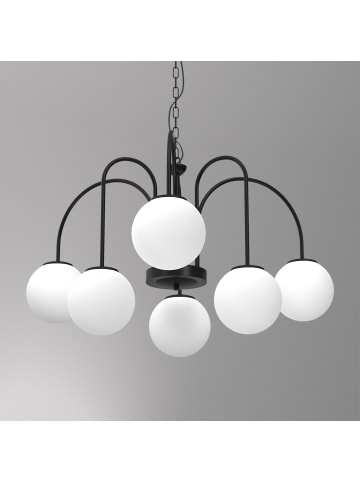 Licht-Erlebnisse Pendelleuchte (B)65 x (L)65 x (T)120 cm in Schwarz Weiß