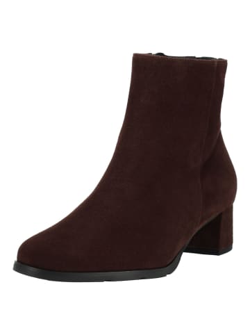 HASSIA Stiefelette in Chocolate