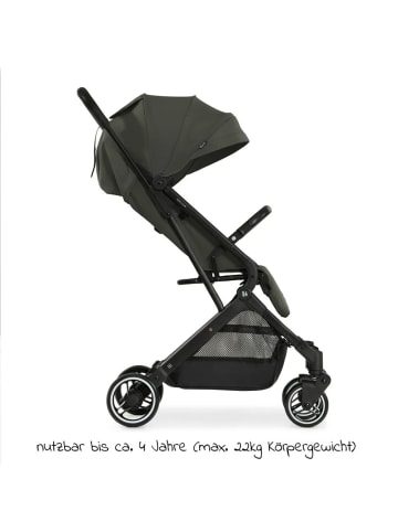 Hauck Reisebuggy & Sportwagen Travel N Care in gruen,schwarz