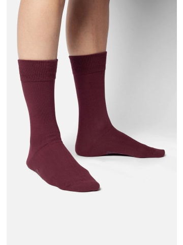 DillySocks Socken D-Compose 2er Set in dark red