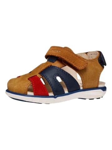 Geox Sandalen in Braun/Rot