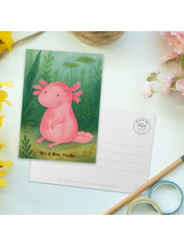Mr. & Mrs. Panda Postkarte Axolotl Niedlich Design ohne Spruch in Weiß