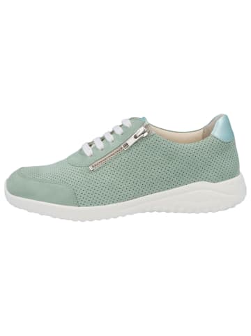 Solidus Sneaker Low in grün