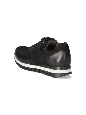 Gabor Low Sneaker in Schwarz